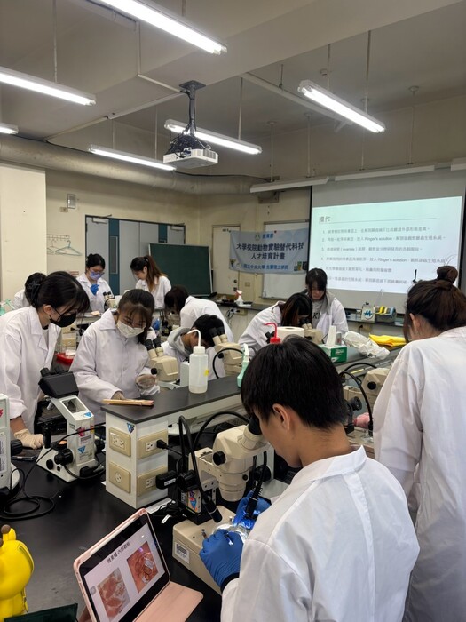 高中生果蠅工作坊