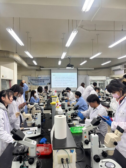 高中生工作坊果蠅